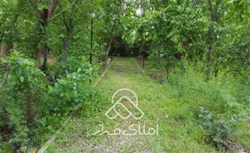 باغ ویلایی زیبا در زیبادشت محمدشهر